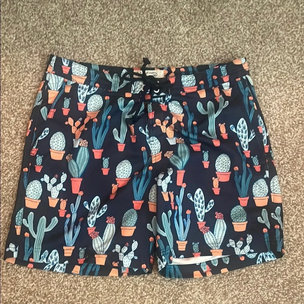 Penguin Cactus Print Men's Swim Shorts